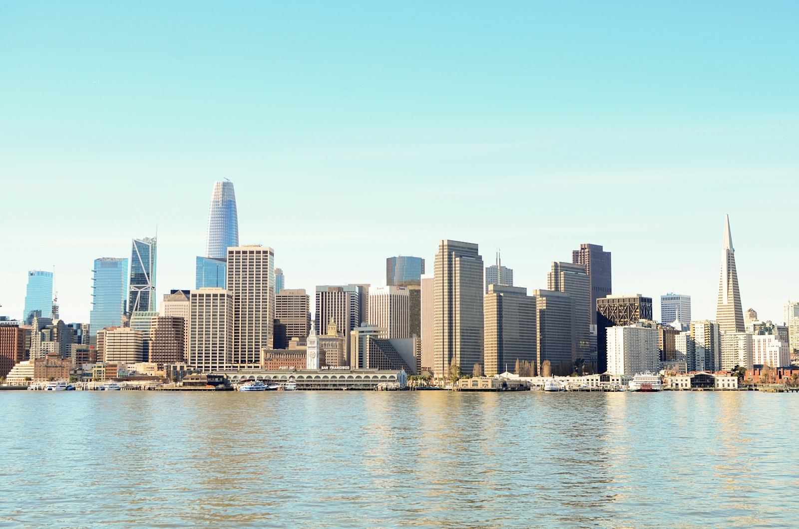 San Francisco skyline across the bay in daylight